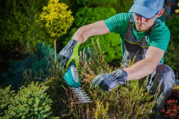 landscaping services Fairlawn